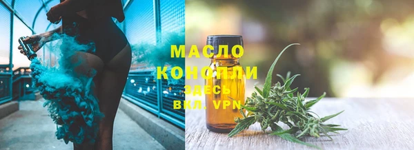 стаф Бородино