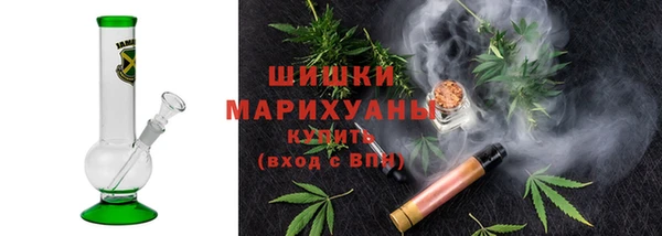 стаф Бородино