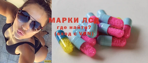 стаф Бородино
