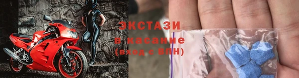 стаф Бородино
