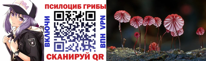 Псилоцибиновые грибы Psilocybe  MEGA сайт  Тамбов  где можно купить наркотик 